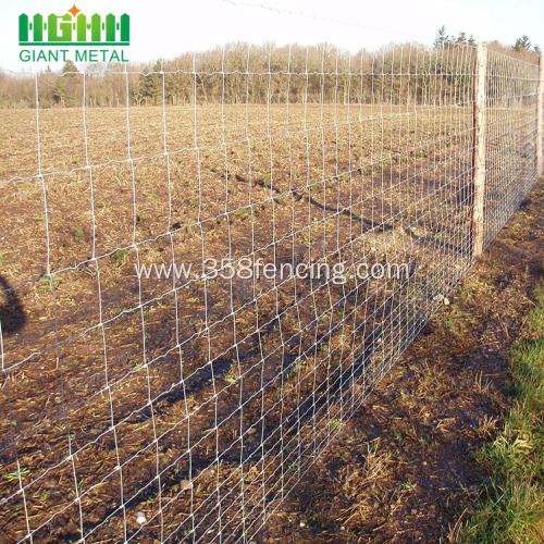 Cheaper Metal Galvanized Field Farm Fence